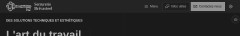 Brivasteel