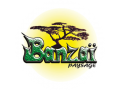 Détails : BANZAI PAYSAGE