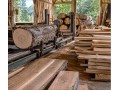 Détails : Scierie Eco Bois - Scierie Artisanale du Fort