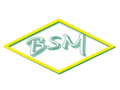 Détails : BSM