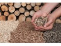Détails : Pourquoi opter pour les granules de bois pour le chauffage ?