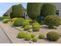 Détails : JARDIN-TOUS TRAVAUX