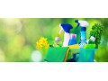 Détails : Peto Services